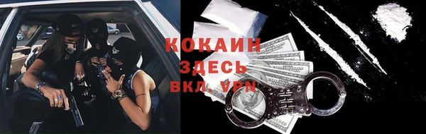 сатива Тында