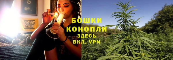 сатива Тында