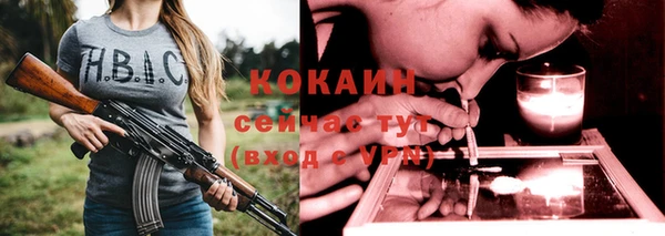 сатива Тында