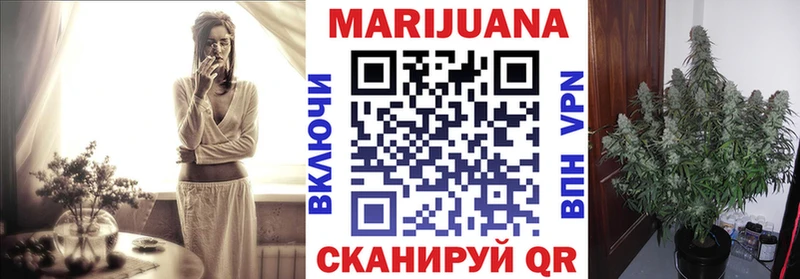 Бошки марихуана план  Фёдоровский 